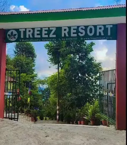 Treez *