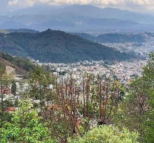 Treez * Kathmandu